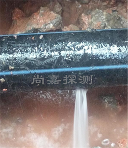 宜城消防管道漏点探测