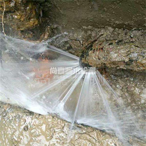 宜城自来水管道漏点检测